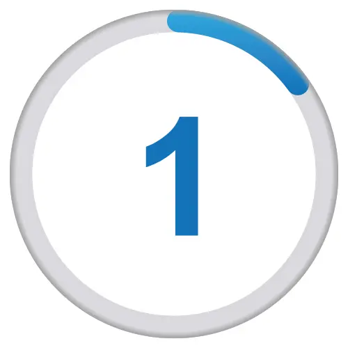 N1